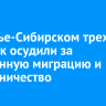 В Усолье-Сибирском трех человек осудили за незаконную миграцию и мошенничество