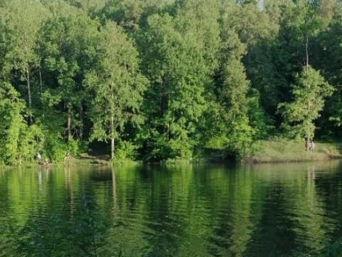 Популярные водоемы в Саранске закрыты для купания