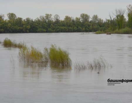 В Башкирии нашли тело пропавшего рыбака