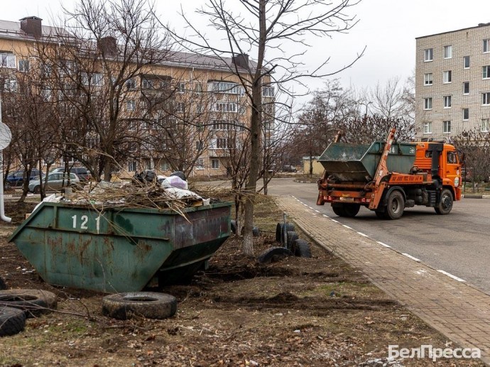 Гладков потребовал решить в Белгородской области проблемы вывоза крупногабаритных отходов