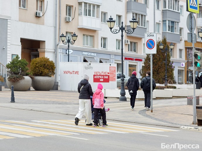 Белгородцев предупредили об усилении ветра до 18 м/с