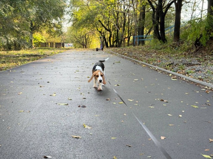 Готовьтесь: приморские синоптики рассказали, какой будет погода в длинные ноябрьские выходные Готовьтесь: приморские синоптики рассказали, какой будет погода в длинные ноябрьские выходные