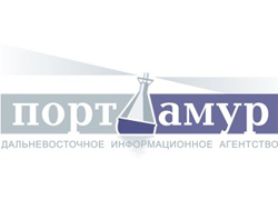 В Благовещенске мужчина ограбил винно-водочный магазин с игрушечным пистолетом