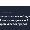 Saudi Aramco открыла в Саудовской Аравии 8 месторождений и 6 резервуаров углеводородов