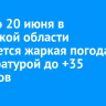 С 18 по 20 июня в Иркутской области ожидается жаркая погода с температурой до +35 градусов