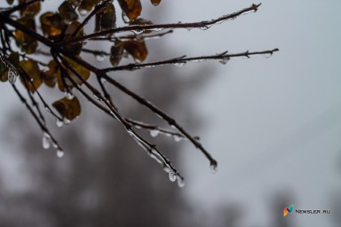 В Кировской области в ночь на 29 сентября ожидаются заморозки до –6°C