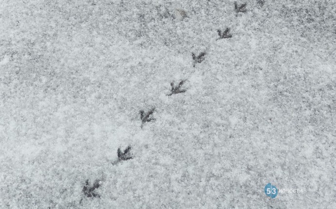 Тепло? Синоптик обратился к жителям России с важной информацией