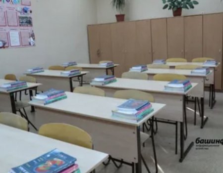 Как будут отдыхать школьники Башкирии на зимних каникулах