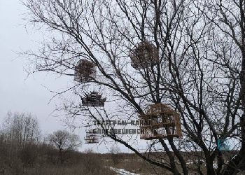 Соцсети: Ловушки для птиц обнаружили на Астрахановских лугах в Благовещенске Соцсети: Ловушки для птиц обнаружили на Астрахановских лугах в Благовещенске