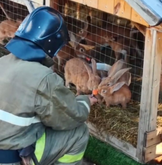 В Улан-Удэ пожарные накормили пушистиков Этнографического музея