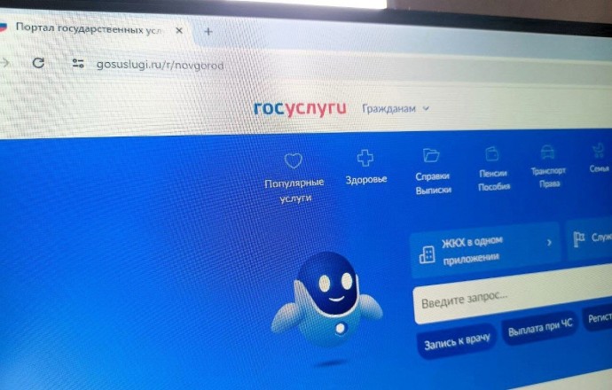 В Новгородской области приостановят запись к врачам через «Госуслуги» на 4 часа
