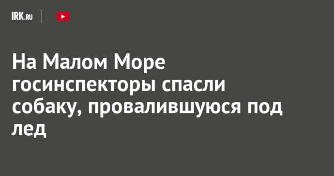На Малом Море госинспекторы спасли собаку, провалившуюся под лед