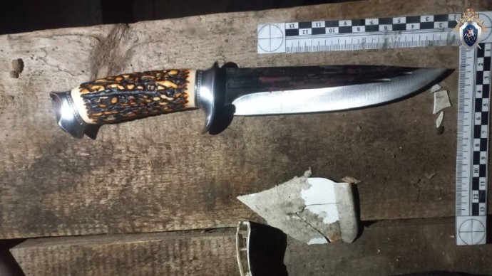 Бил ножом в лицо: жителя Башкирии будут судить за убийство Бил ножом в лицо: жителя Башкирии будут судить за убийство