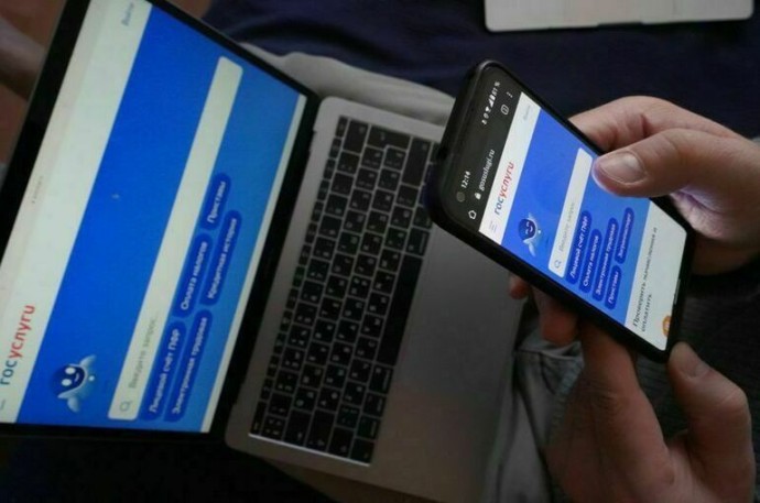 В МВД рассказали, как определить поддельные сообщения от «госуслуг»