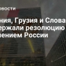 Армения, Грузия и Словакия поддержали резолюцию ООН с обвинением России