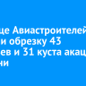 На улице Авиастроителей провели обрезку 43 деревьев и 31 куста акации и сирени
