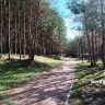 Обработку от клещей в Белгородской области завершат к 1 мая