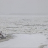 Ледовую переправу закрыли на Зейском водохранилище