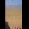 Вода пошла в низовья Волги. Что происходит на берегах 