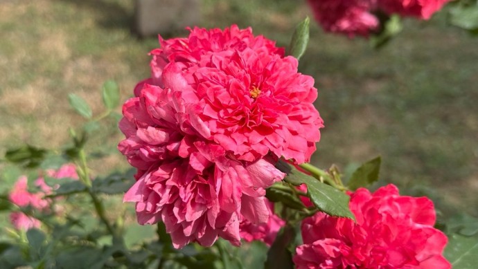 Погода в Башкирии приготовила нереальный сюрприз