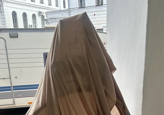 В Костроме появится 14-й мазайский заяц В Костроме появится 14-й мазайский заяц