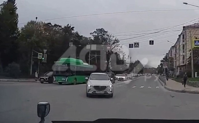 Торопыга едва не устроил аварию в Южно-Сахалинске Торопыга едва не устроил аварию в Южно-Сахалинске