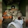 В Астрахани директор фирмы попался на хранении почти 14 тонн нелегальной рыбы