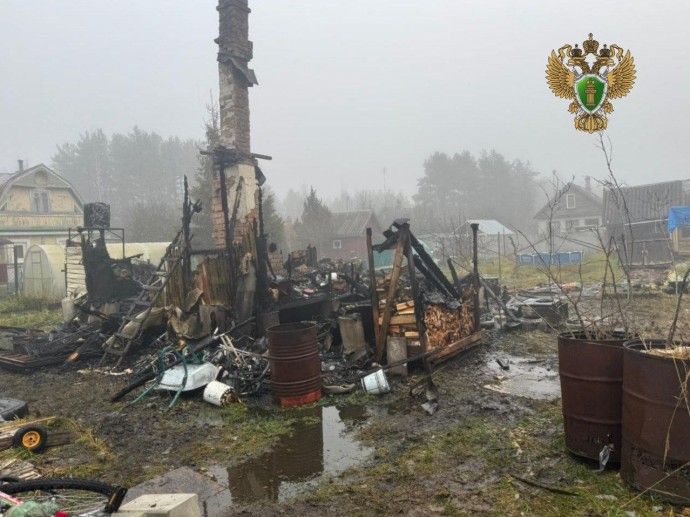 Двое детей и взрослый погибли при пожаре в Ленобласти