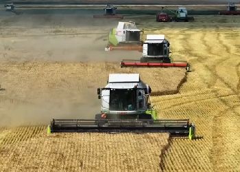 Аграрии Приамурья, внедряющие передовые технологии, получат дополнительную поддержку Аграрии Приамурья, внедряющие передовые технологии, получат дополнительную поддержку