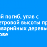 Рабочий погиб, упав с семиметровой высоты при валке аварийных деревьев в Шелехове