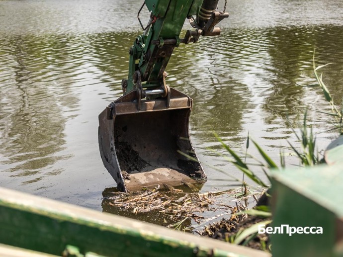 В Белгородской области в 2026 году очистят три участка реки Тихая Сосна