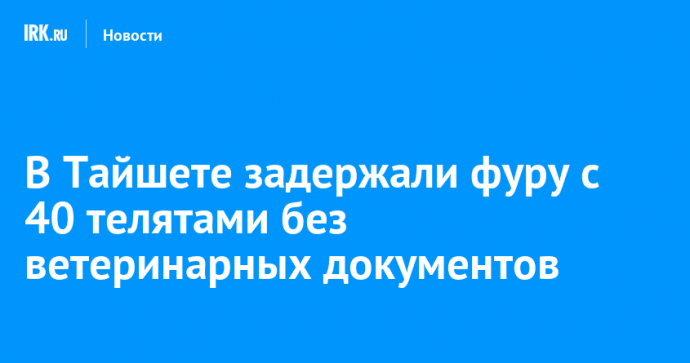 В Тайшете задержали фуру с 40 телятами без ветеринарных документов