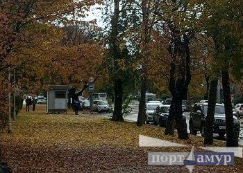 Ночные морозы под -20 и сильный ветер ждут в Амурской области Ночные морозы под -20 и сильный ветер ждут в Амурской области