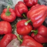 Рататуй и рулетики — топ-9 вкусных блюд из перца для жителей Башкирии