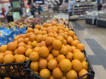 Ввоз ягод из Киргизии в Пермский край увеличился почти вдвое в 2026 году