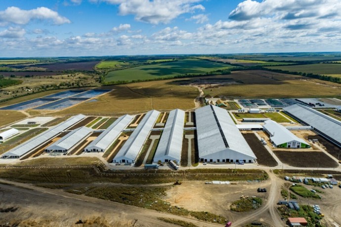 В Воронежской области завершается строительство одного из крупнейших в РФ молочных комплексов В Воронежской области завершается строительство одного из крупнейших в РФ молочных комплексов