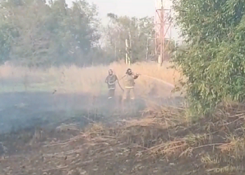 Сухая трава горела на окраине амурского села Успеновка Сухая трава горела на окраине амурского села Успеновка