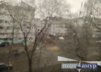 Мокрый снег и дождь ждут в Приамурье в начале рабочей недели