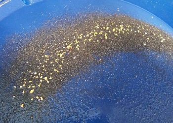 Амурчанину дали условно за кражу золота и серебра на полмиллиона