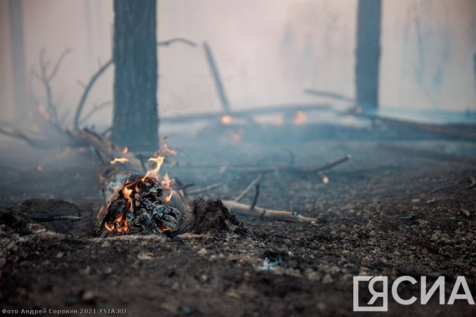 В Верхоянском районе Якутии число лесных пожаров увеличилось до девяти