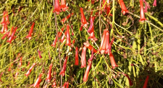 В Башкирии огорчили прогнозом на вторую половину октября