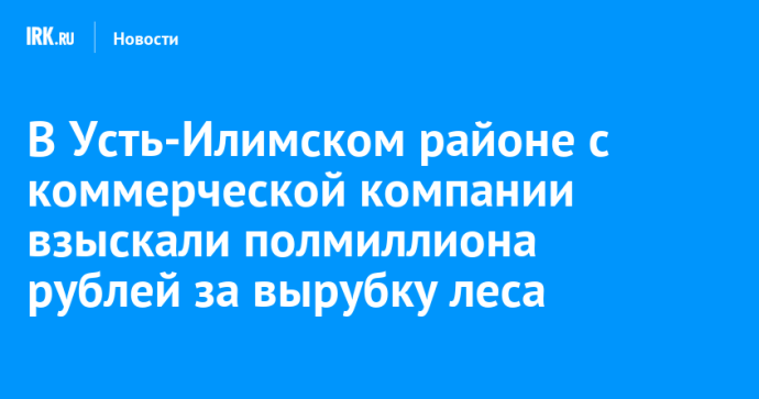 В Усть-Илимском районе с коммерческой компании взыскали полмиллиона рублей за вырубку леса