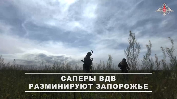 Саперы разминируют территории в Запорожской области