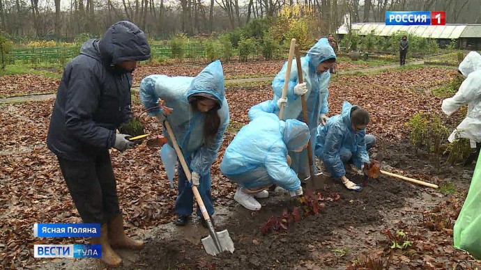 «Сохраним лес»: в Ясной Поляне высадили деревья и кустарники