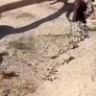 В Астрахани на улице Куликова ликвидировали провал асфальта
