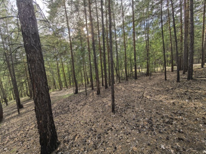 Две женщины заблудились на Вилюйском тракте в Якутске