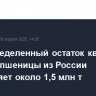 Нераспределенный остаток квоты на экспорт пшеницы из России составляет около 1,5 млн т