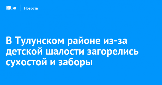 В Тулунском районе из-за детской шалости загорелись сухостой и заборы
