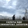 Саперы разминируют территории в Запорожской области