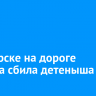 В Ангарске на дороге машина сбила детеныша лисы